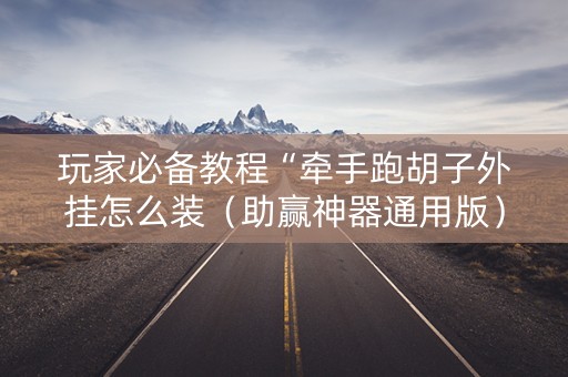 玩家必备教程“牵手跑胡子外挂怎么装（助赢神器通用版）