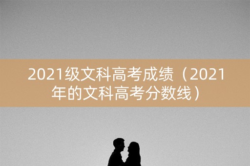 2021级文科高考成绩（2021年的文科高考分数线）