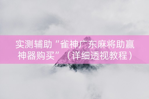 实测辅助“雀神广东麻将助赢神器购买”（详细透视教程）-哔哩哔哩
