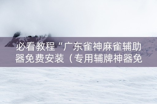 必看教程“广东雀神麻雀辅助器免费安装（专用辅牌神器免安装）