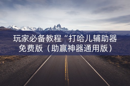 玩家必备教程“打哈儿辅助器免费版（助赢神器通用版）
