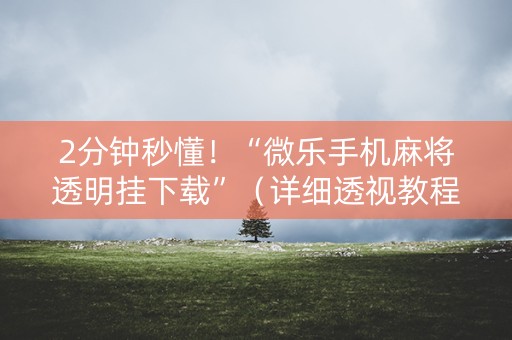 2分钟秒懂！“微乐手机麻将透明挂下载”（详细透视教程）-哔哩哔哩