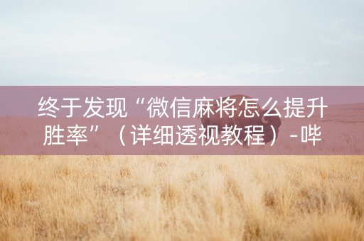 终于发现“微信麻将怎么提升胜率”（详细透视教程）-哔哩哔哩