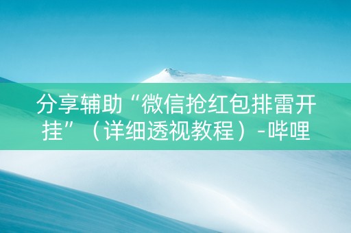 分享辅助“微信抢红包排雷开挂”（详细透视教程）-哔哩哔哩