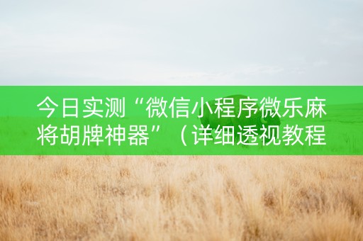 今日实测“微信小程序微乐麻将胡牌神器”（详细透视教程）-哔哩哔哩