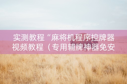 实测教程“麻将机程序控牌器视频教程（专用辅牌神器免安装）