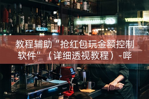 教程辅助“抢红包玩金额控制软件”（详细透视教程）-哔哩哔哩