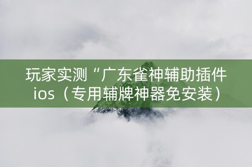 玩家实测“广东雀神辅助插件ios（专用辅牌神器免安装）