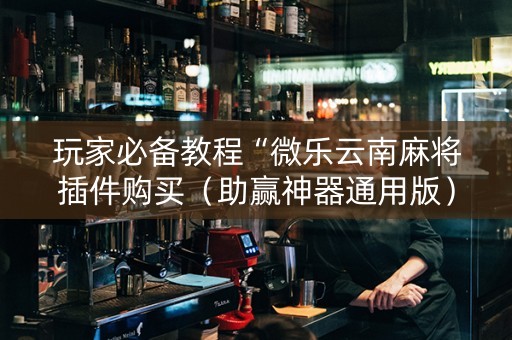 玩家必备教程“微乐云南麻将插件购买（助赢神器通用版）