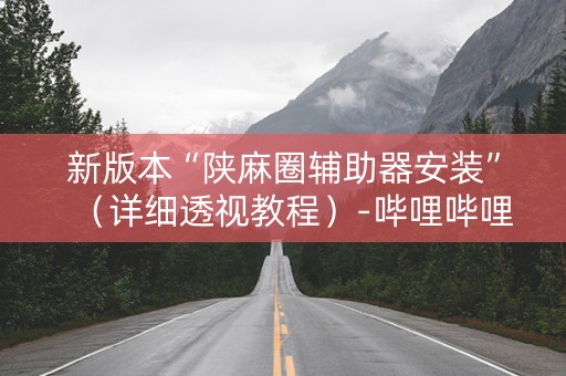 新版本“陕麻圈辅助器安装”（详细透视教程）-哔哩哔哩