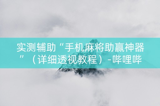 实测辅助“手机麻将助赢神器”（详细透视教程）-哔哩哔哩