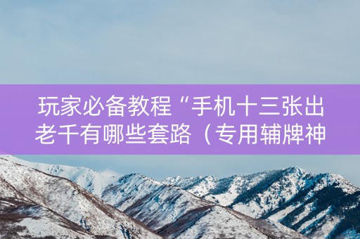 玩家必备教程“手机十三张出老千有哪些套路（专用辅牌神器免安装）