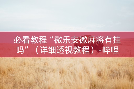 必看教程“微乐安徽麻将有挂吗”（详细透视教程）-哔哩哔哩