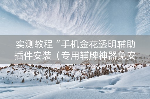 实测教程“手机金花透明辅助插件安装（专用辅牌神器免安装）