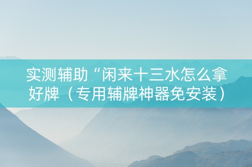 实测辅助“闲来十三水怎么拿好牌（专用辅牌神器免安装）