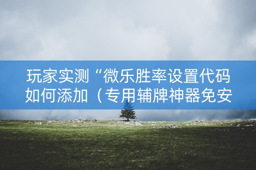 玩家实测“微乐胜率设置代码如何添加（专用辅牌神器免安装）