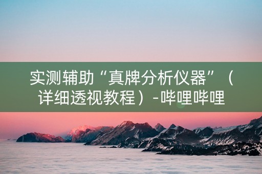 实测辅助“真牌分析仪器”（详细透视教程）-哔哩哔哩