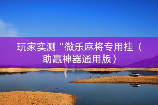 玩家实测“微乐麻将专用挂（助赢神器通用版）