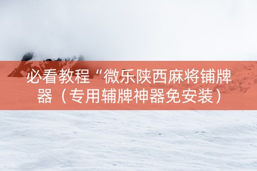 必看教程“微乐陕西麻将铺牌器（专用辅牌神器免安装）