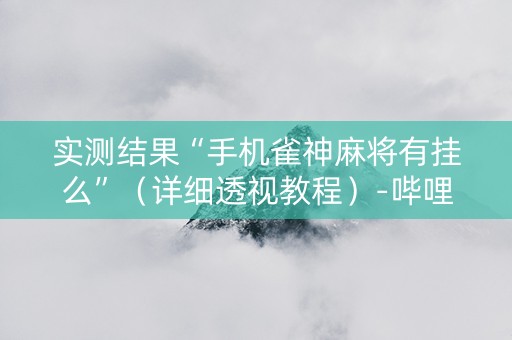 实测结果“手机雀神麻将有挂么”（详细透视教程）-哔哩哔哩