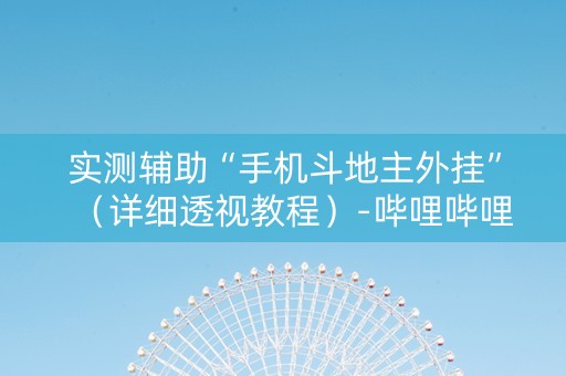 实测辅助“手机斗地主外挂”（详细透视教程）-哔哩哔哩