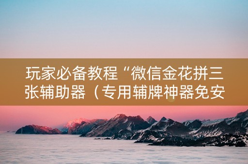 玩家必备教程“微信金花拼三张辅助器（专用辅牌神器免安装）