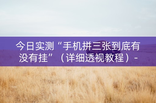 今日实测“手机拼三张到底有没有挂”（详细透视教程）-哔哩哔哩