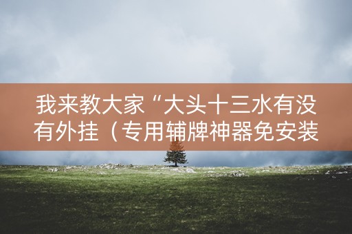 我来教大家“大头十三水有没有外挂（专用辅牌神器免安装）