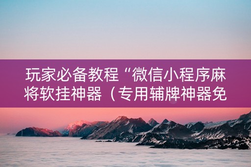 玩家必备教程“微信小程序麻将软挂神器（专用辅牌神器免安装）