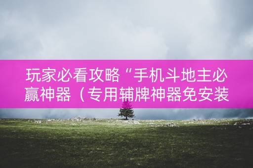 玩家必看攻略“手机斗地主必赢神器（专用辅牌神器免安装）