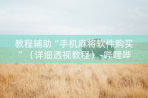 教程辅助“手机麻将软件购买”（详细透视教程）-哔哩哔哩