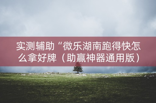 实测辅助“微乐湖南跑得快怎么拿好牌（助赢神器通用版）