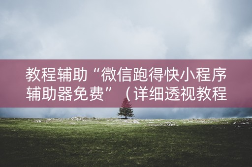 教程辅助“微信跑得快小程序辅助器免费”（详细透视教程）-哔哩哔哩