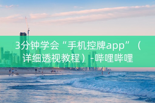 3分钟学会“手机控牌app”（详细透视教程）-哔哩哔哩