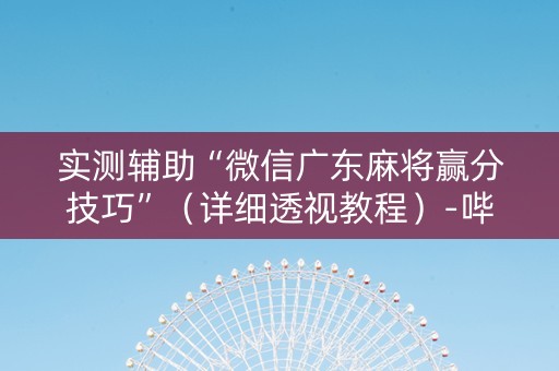 实测辅助“微信广东麻将赢分技巧”（详细透视教程）-哔哩哔哩