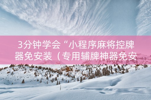 3分钟学会“小程序麻将控牌器免安装（专用辅牌神器免安装）