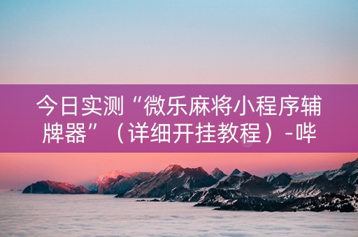 今日实测“微乐麻将小程序辅牌器”（详细开挂教程）-哔哩哔哩