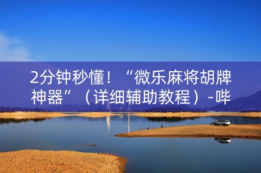 2分钟秒懂！“微乐麻将胡牌神器”（详细辅助教程）-哔哩哔哩