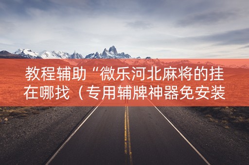 教程辅助“微乐河北麻将的挂在哪找（专用辅牌神器免安装）