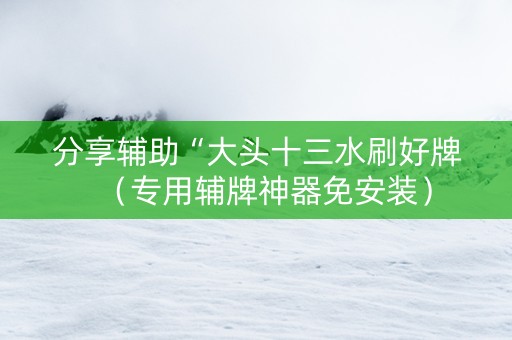 分享辅助“大头十三水刷好牌（专用辅牌神器免安装）