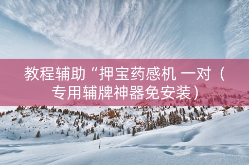 教程辅助“押宝药感机 一对（专用辅牌神器免安装）