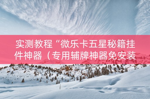 实测教程“微乐卡五星秘籍挂件神器（专用辅牌神器免安装）
