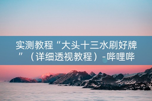 实测教程“大头十三水刷好牌”（详细透视教程）-哔哩哔哩