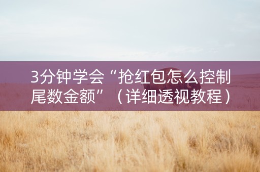 3分钟学会“抢红包怎么控制尾数金额”（详细透视教程）-哔哩哔哩