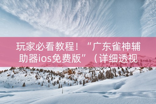 玩家必看教程！“广东雀神辅助器ios免费版”（详细透视教程）-哔哩哔哩