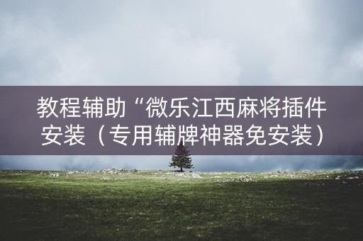 教程辅助“微乐江西麻将插件安装（专用辅牌神器免安装）