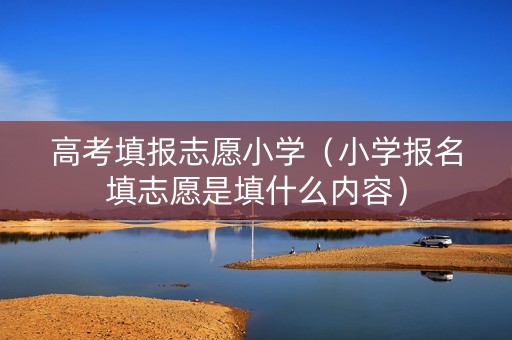 高考填报志愿小学（小学报名填志愿是填什么内容）