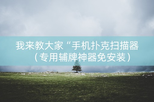 我来教大家“手机扑克扫描器（专用辅牌神器免安装）