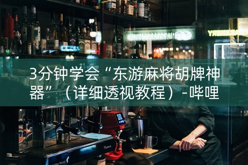 3分钟学会“东游麻将胡牌神器”（详细透视教程）-哔哩哔哩