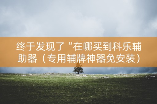 终于发现了“在哪买到科乐辅助器（专用辅牌神器免安装）